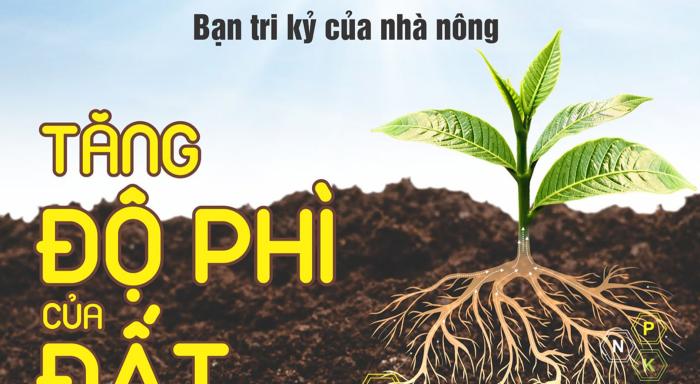 CHẤT HỮU CƠ VÀ ĐỘ PHÌ CỦA ĐẤT